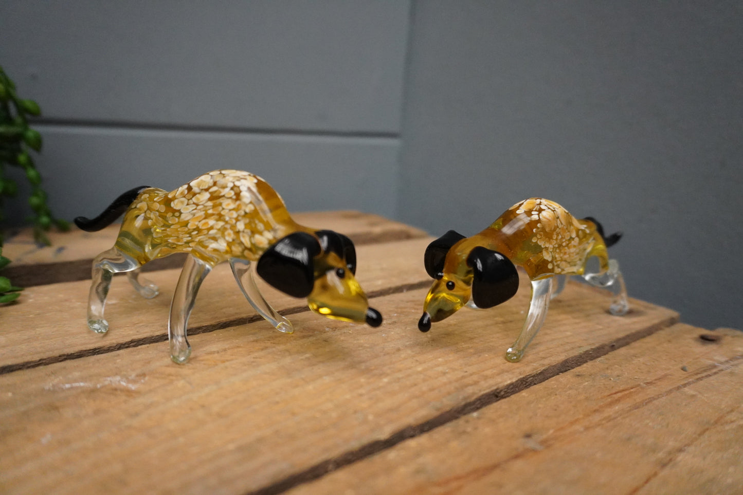 Jachthond - 9cm/10cm