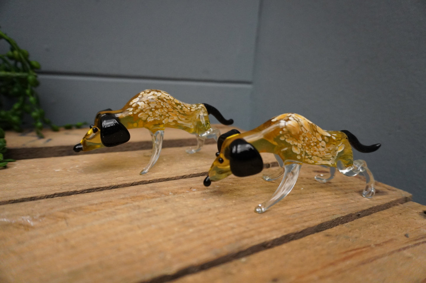 Jachthond - 9cm/10cm