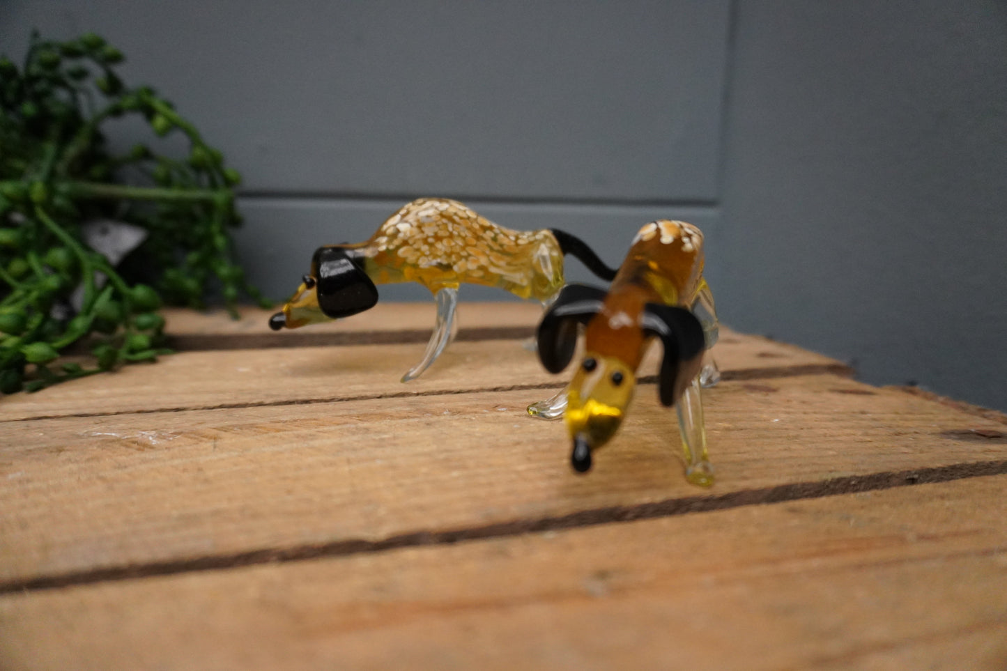 Jachthond - 9cm/10cm