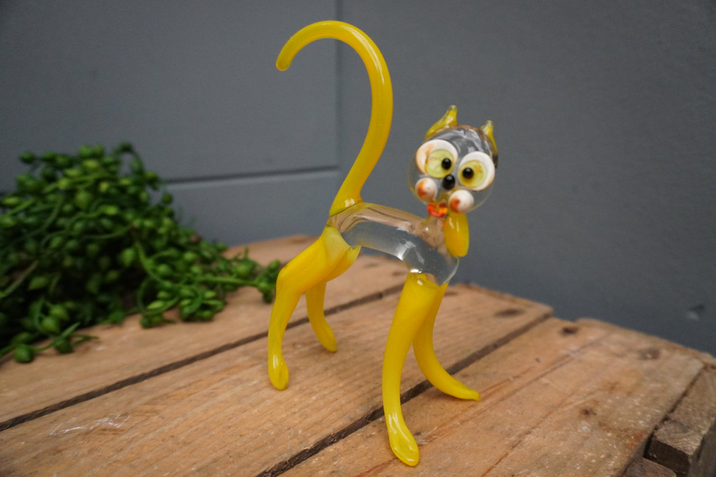 Kat - geel of paars