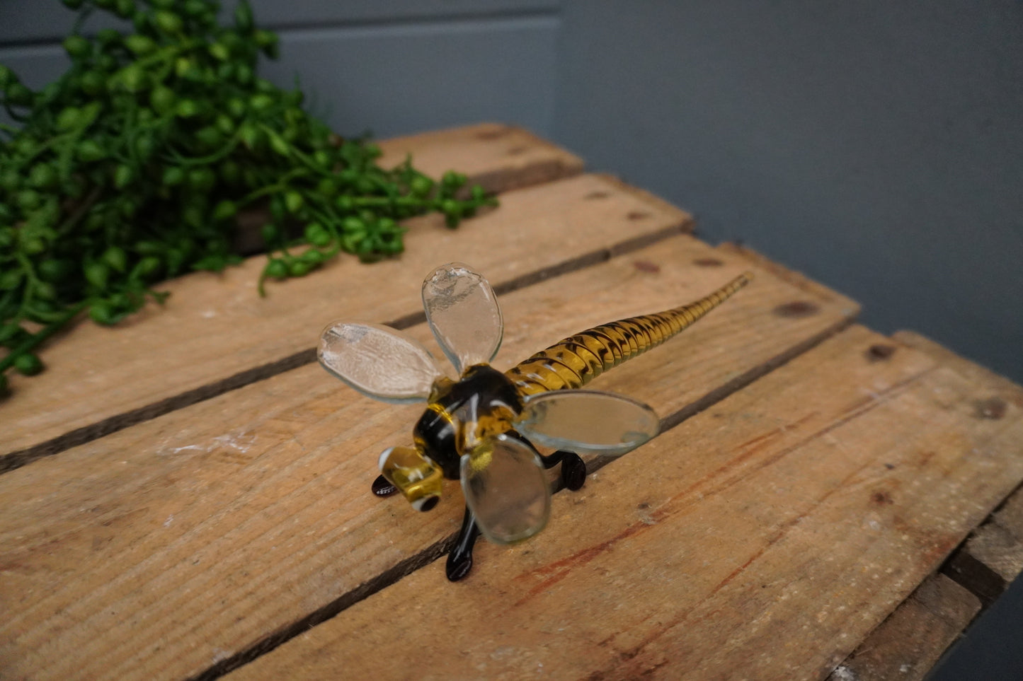 Libelle - 5cm x 15cm