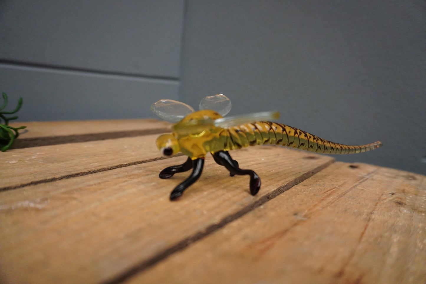 Libelle - 5cm x 15cm