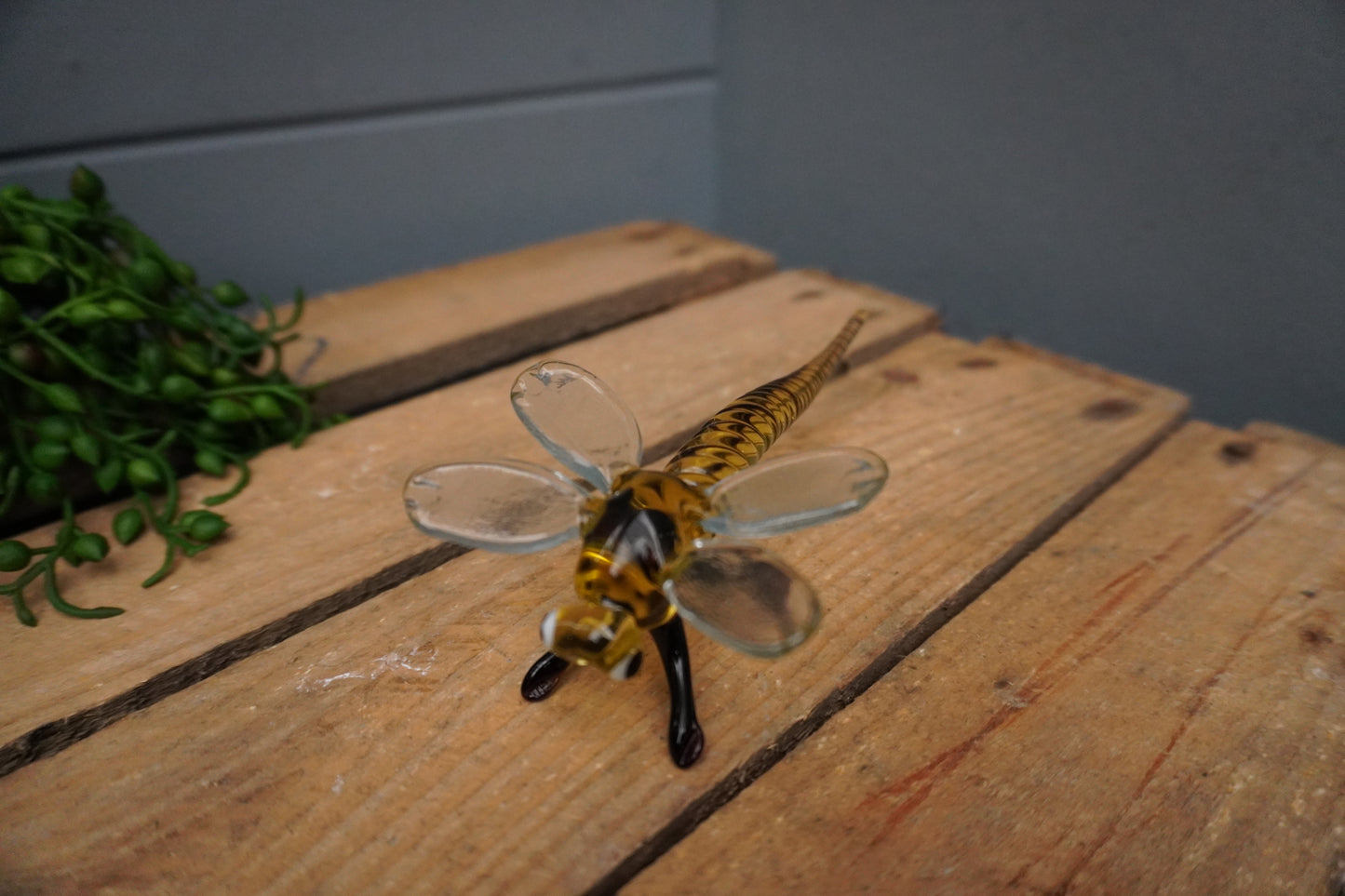 Libelle - 5cm x 15cm