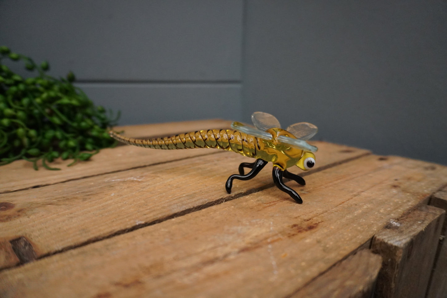 Libelle - 5cm x 15cm