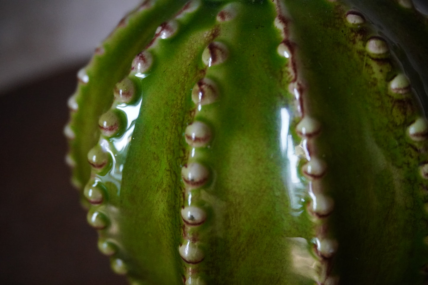 Cactus ornament - Groen, 21cm & 9.5cm