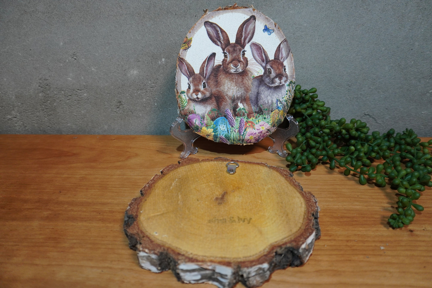 Berk schijf - Paas konijnen