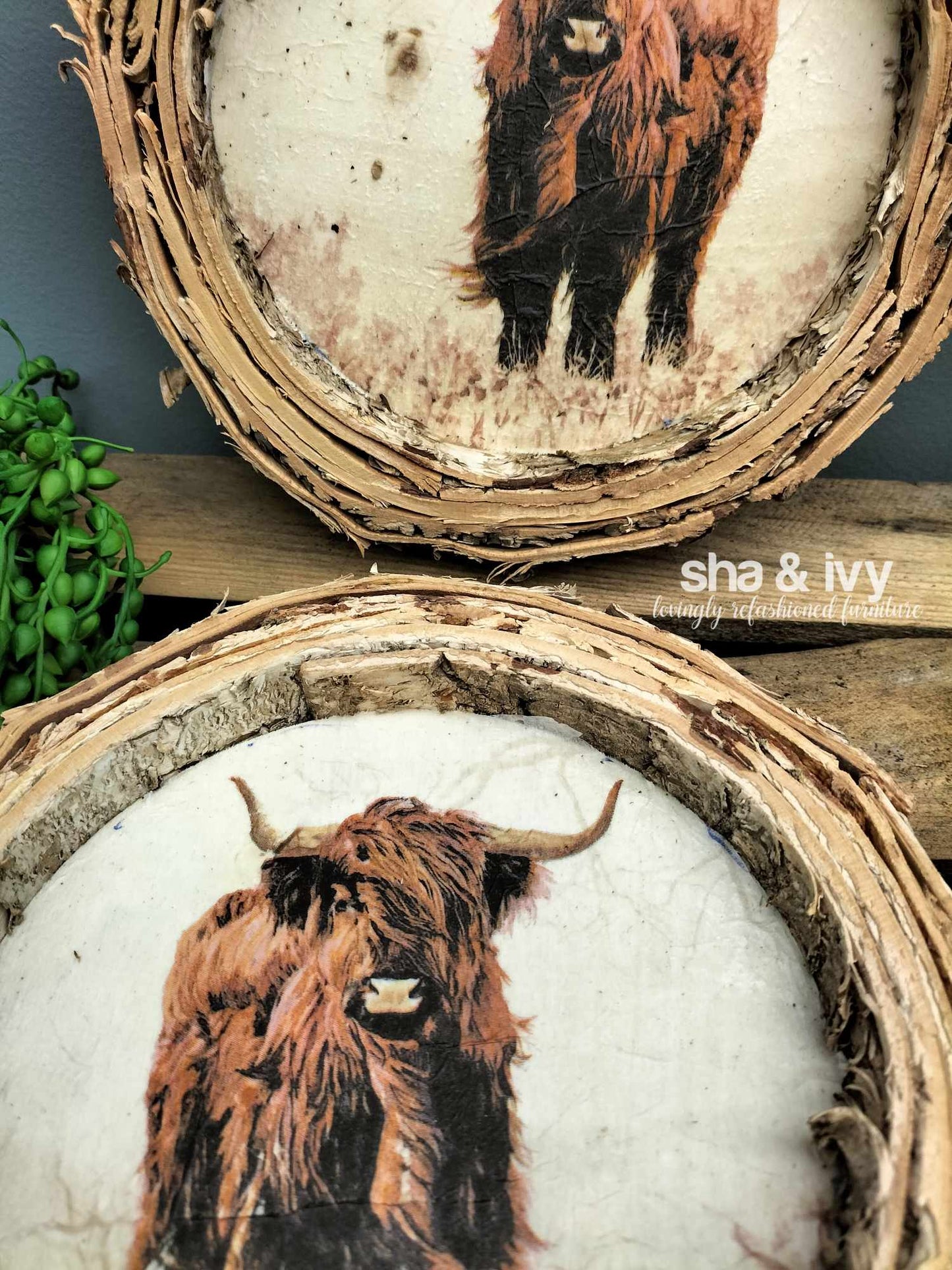 Birch bark tray schotse hooglander