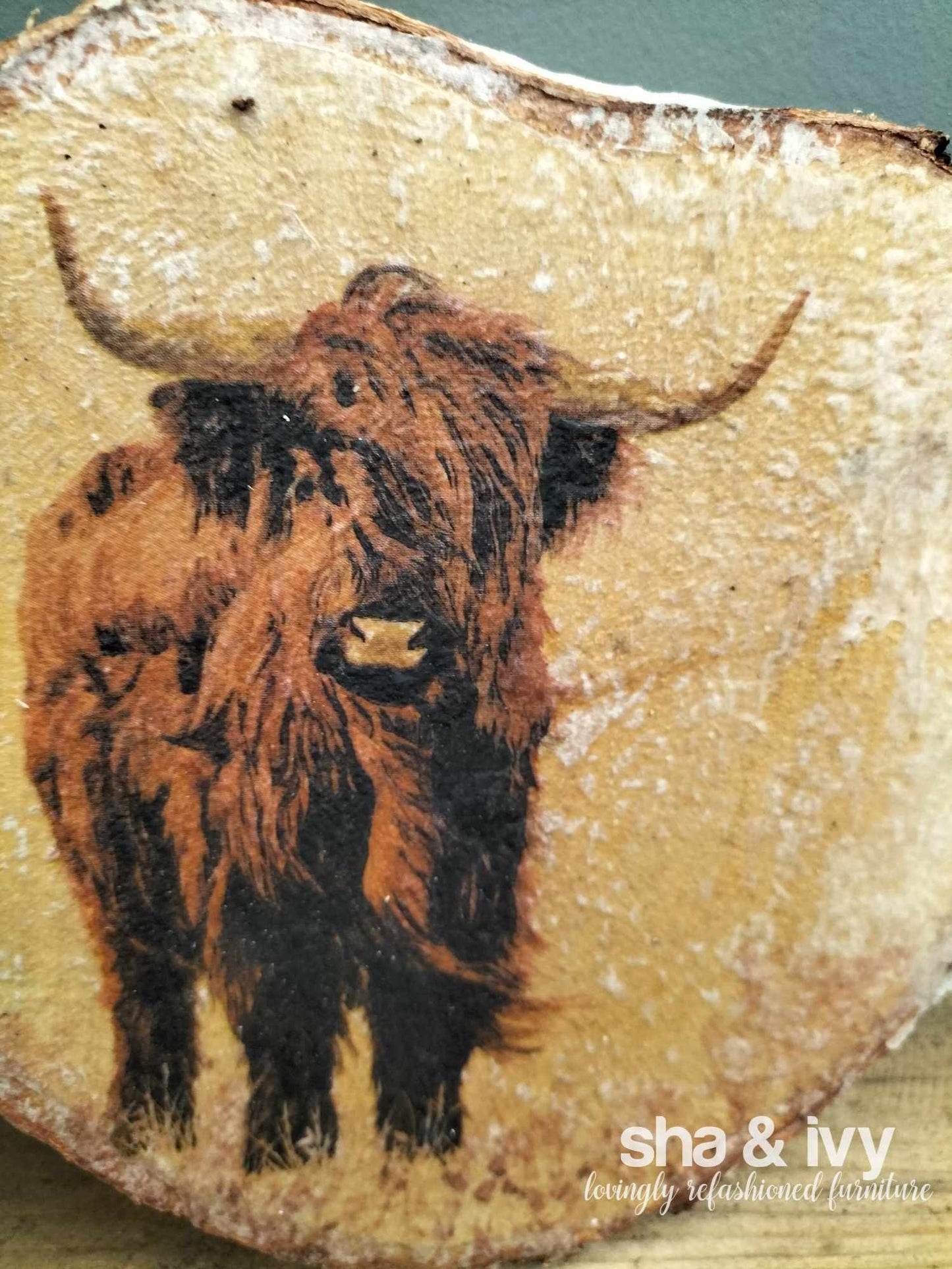 Berkschijf schotse hooglander