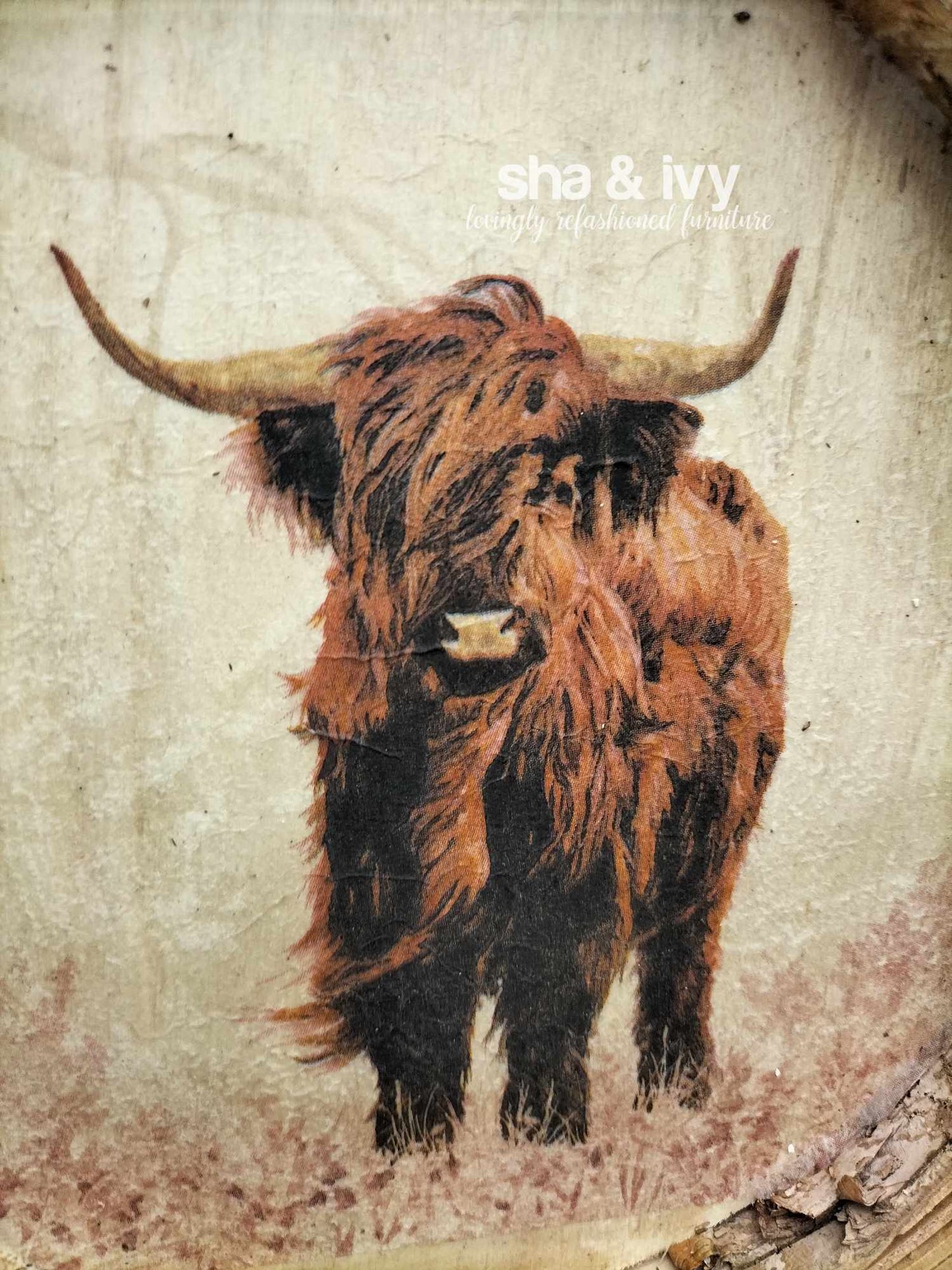 Birch bark tray schotse hooglander