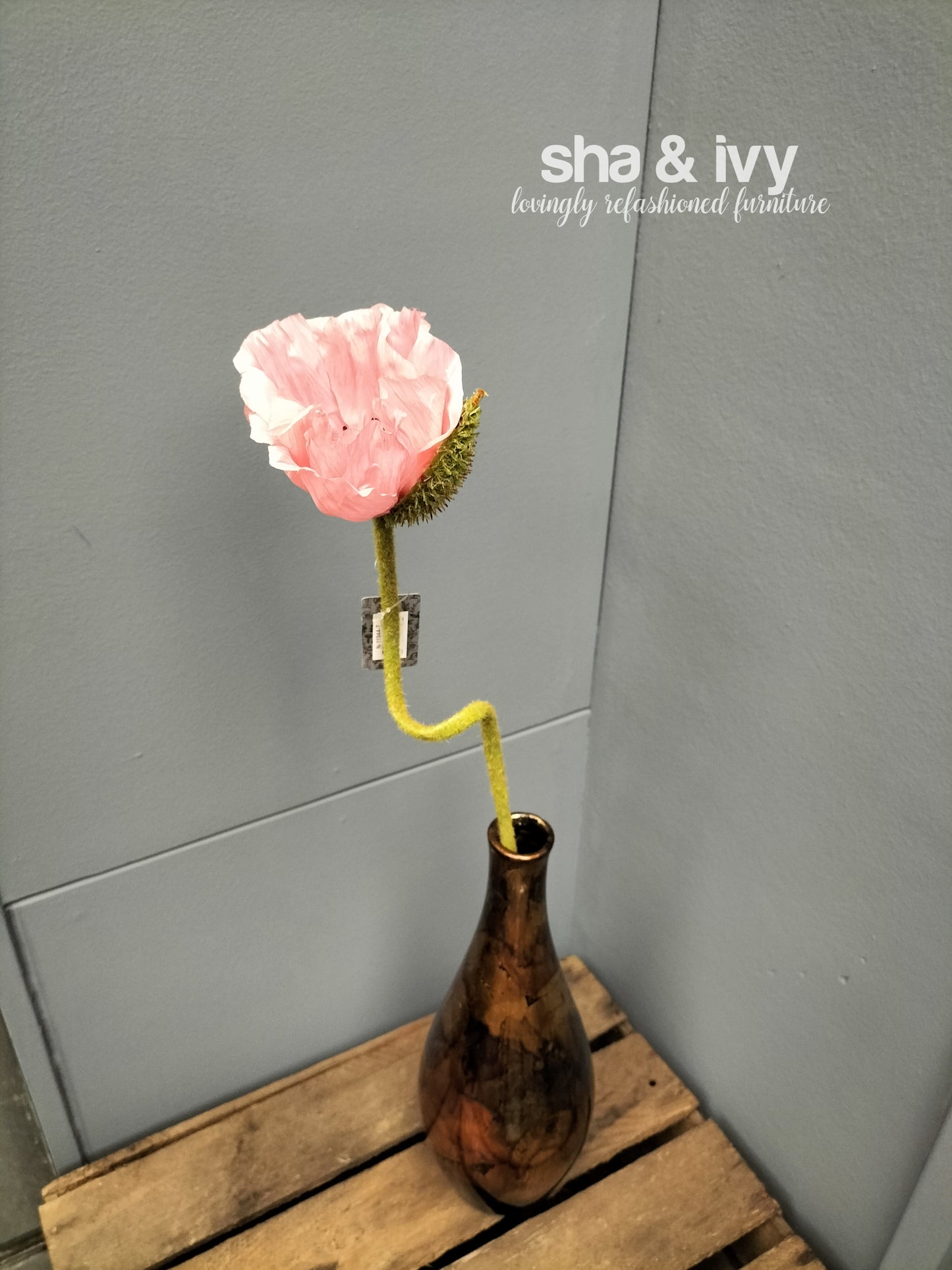 IJslandse klaproos - roze 70cm