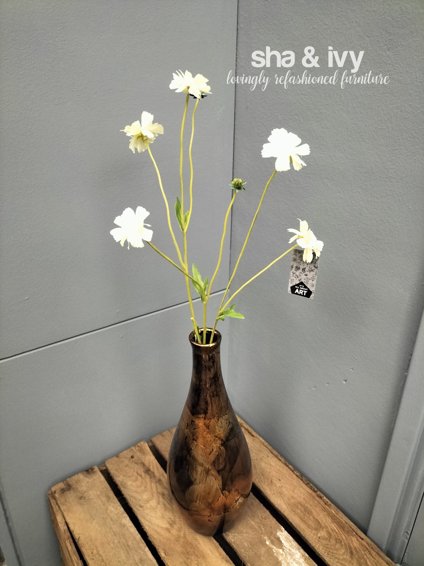 Korenbloem - crème 64cm