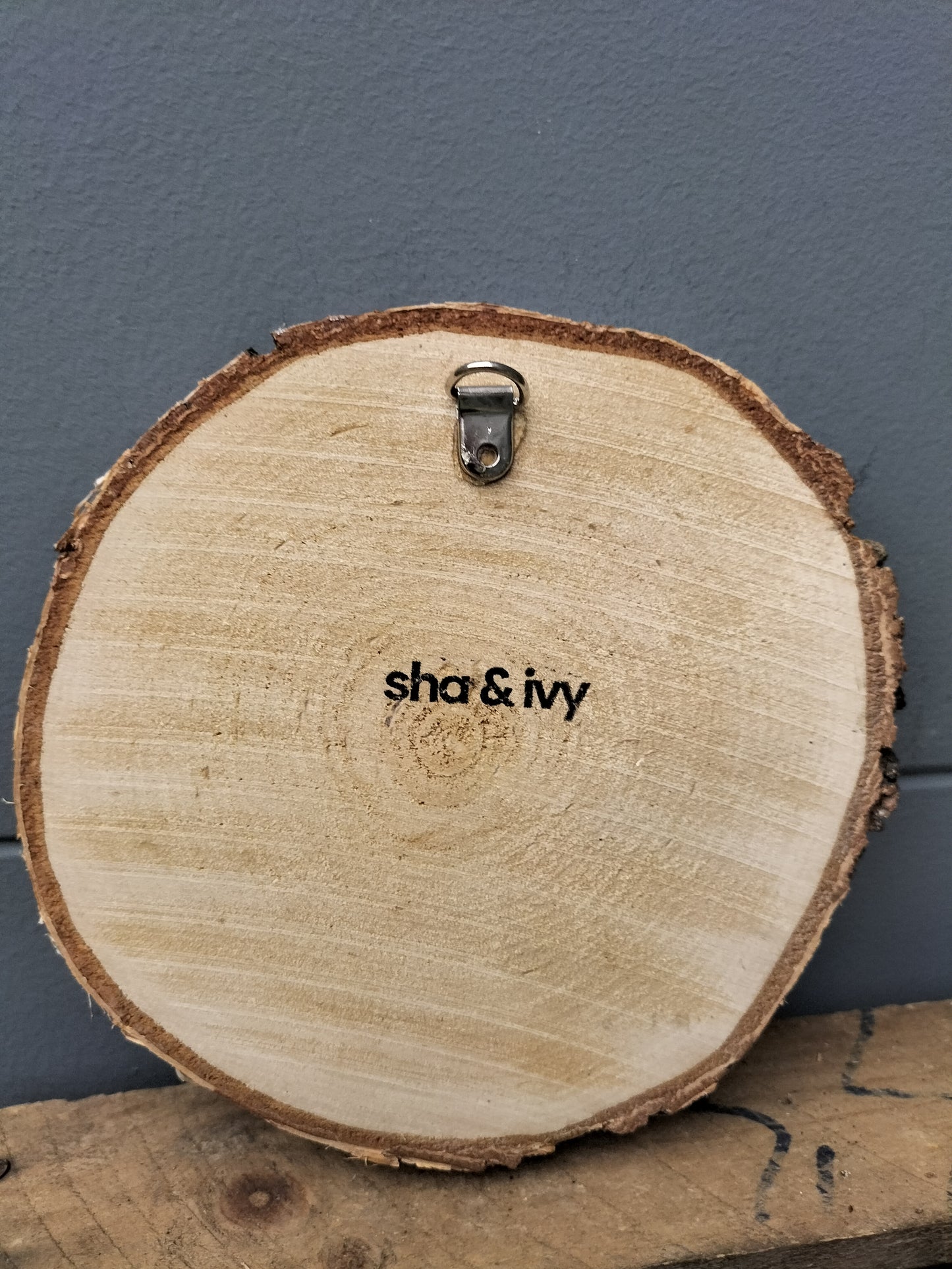 Berk schijf - Schotse hooglander in weiland