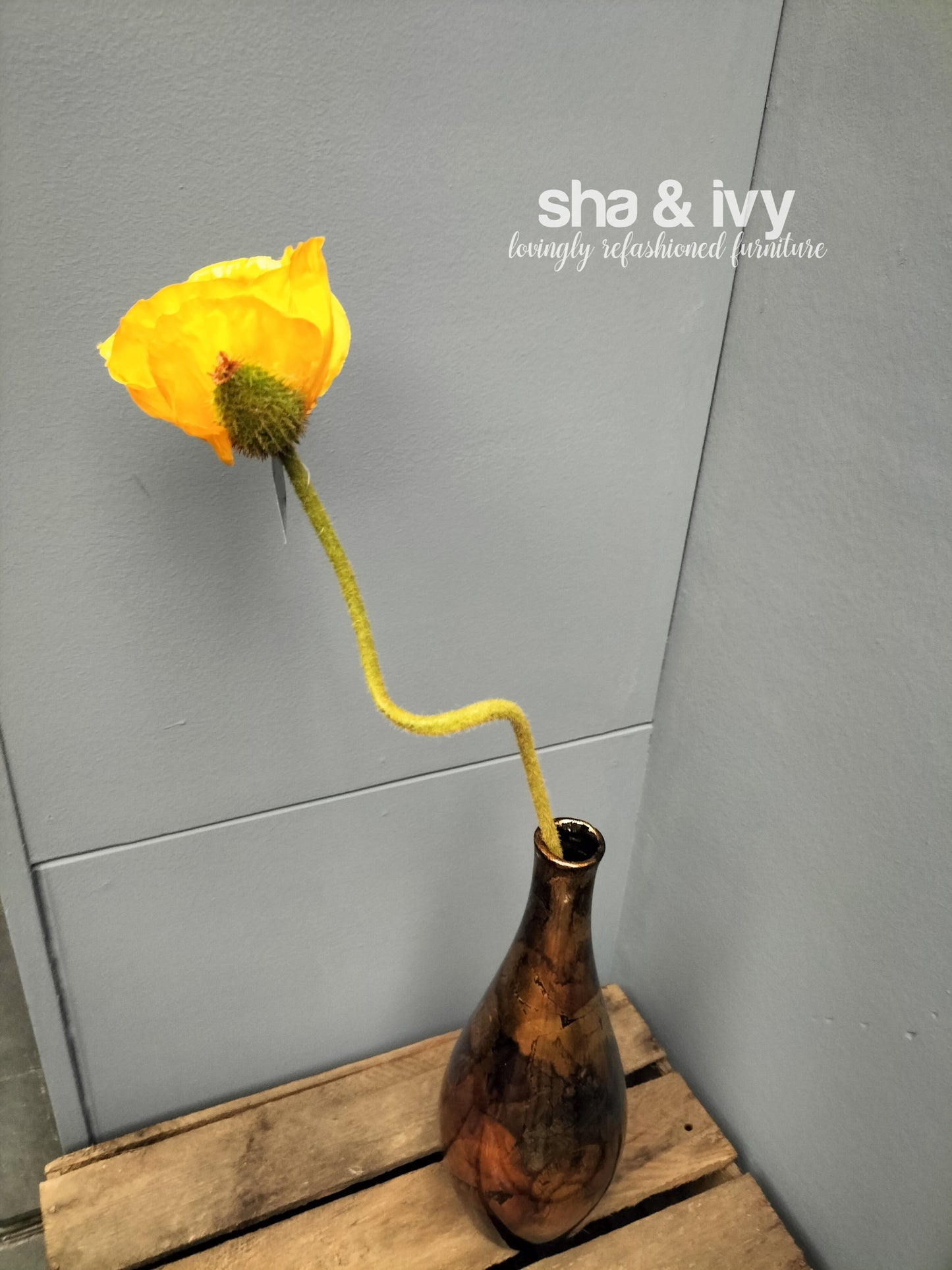 IJslandse klaproos - oranje 70cm