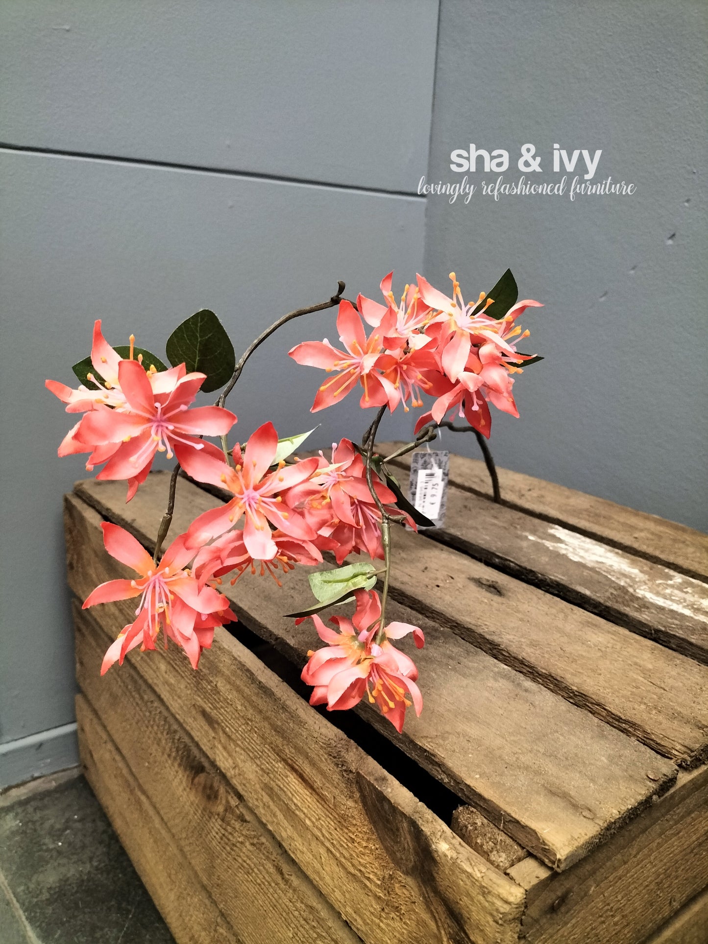 Wilde Bosrank - rood 81cm.