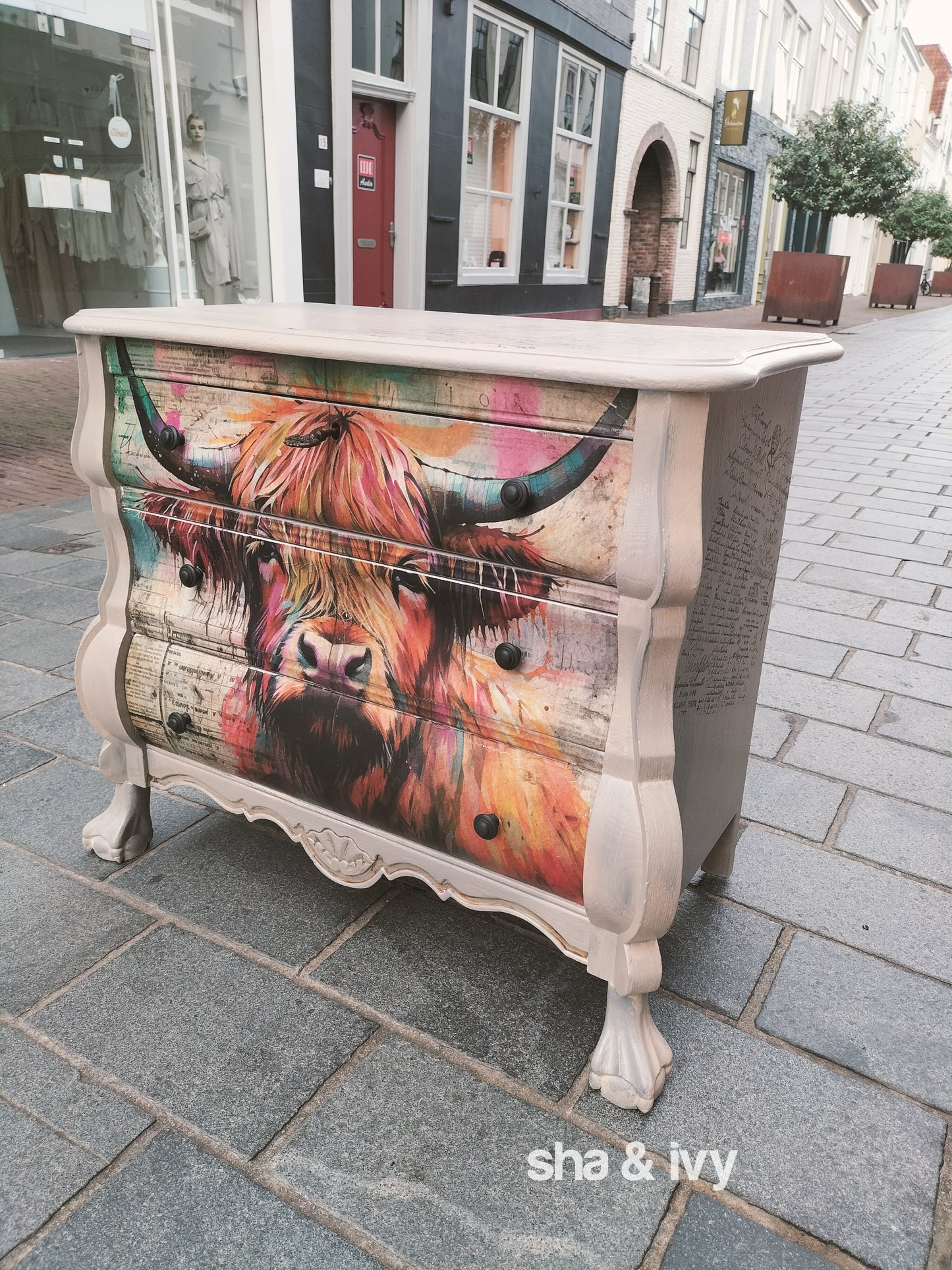 Schotse hooglander kastje