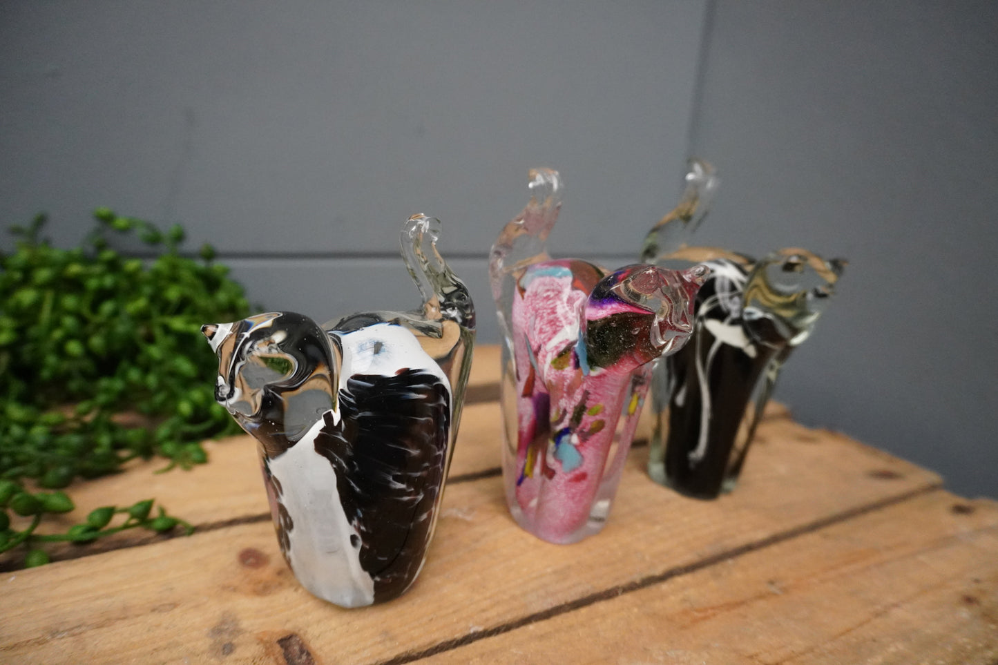 Kat - 13cm, kleur