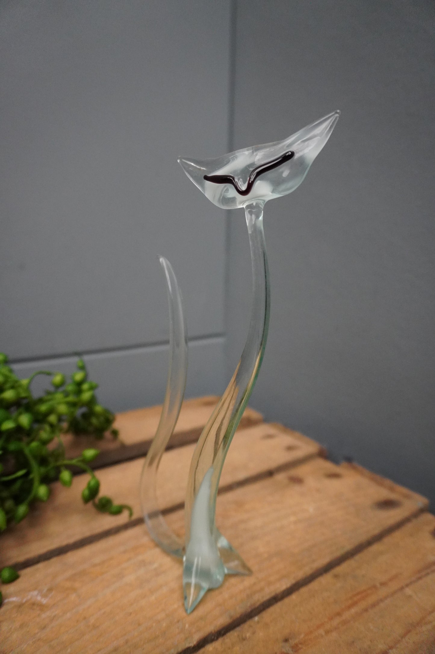 Sfinx - 20cm, transparant