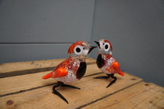 Vogel - rood/zwart