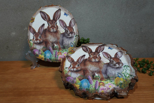 Berk schijf - Paas konijnen