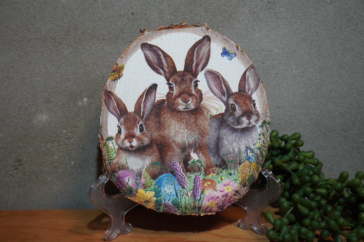 Berk schijf - Paas konijnen