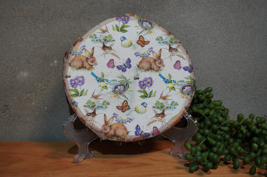 Berk schijf - Paas gevoel