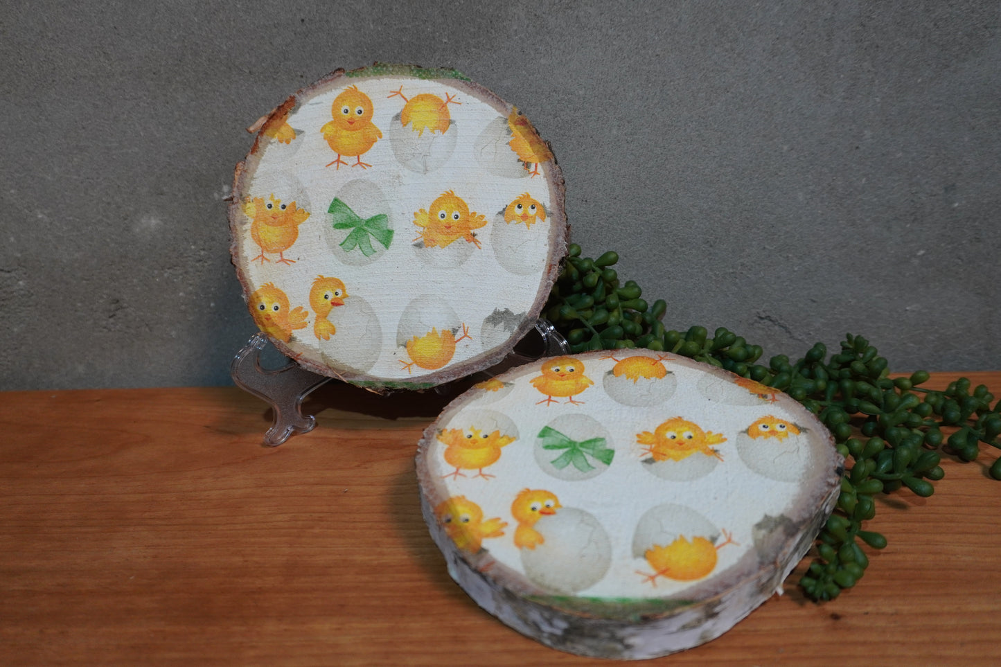 Berk schijf - Kuikens