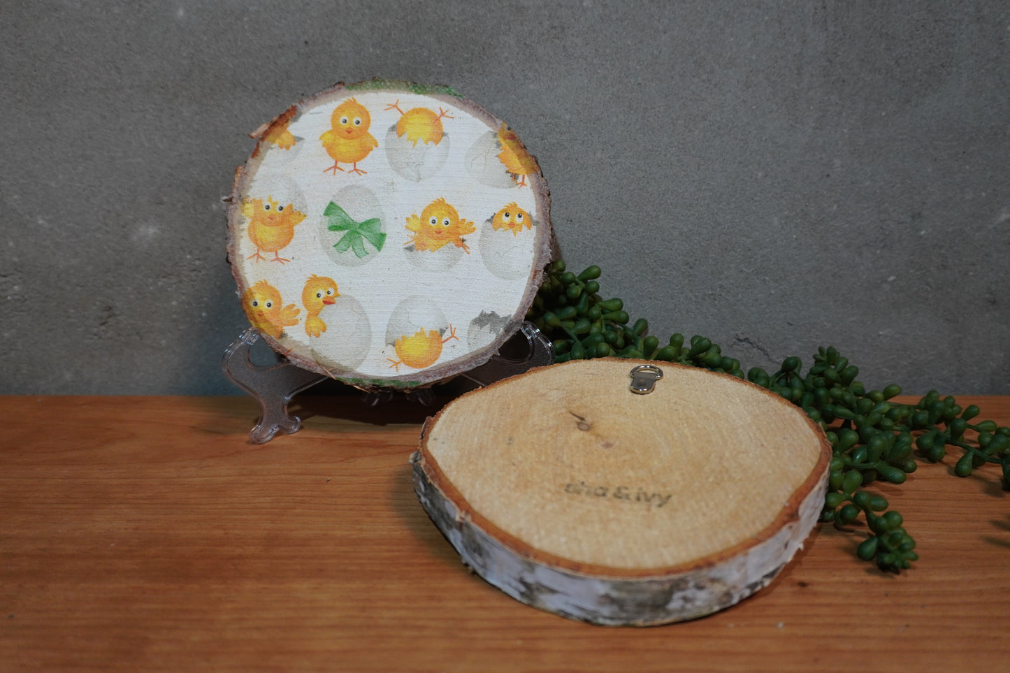 Berk schijf - Kuikens