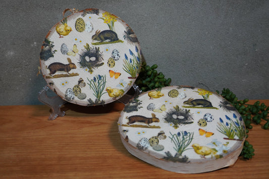 Berk schijf - Pasen/ lente