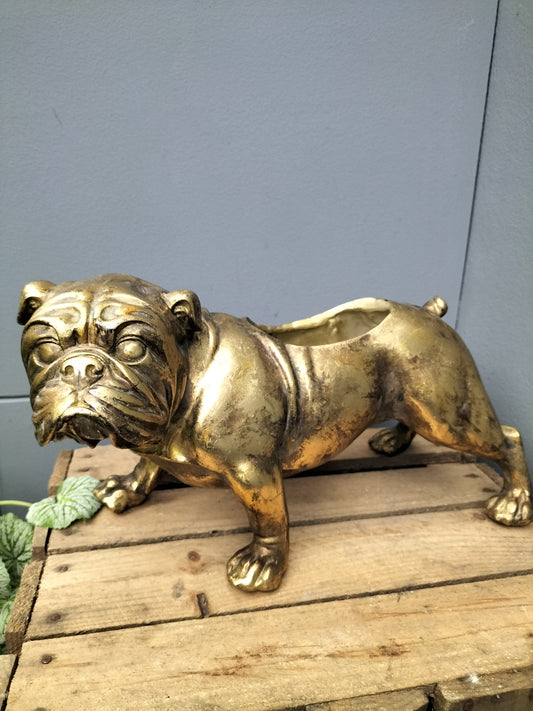 Polyresin bulldog planter - 34cm