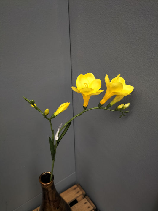 Freesia - geel, 68cm