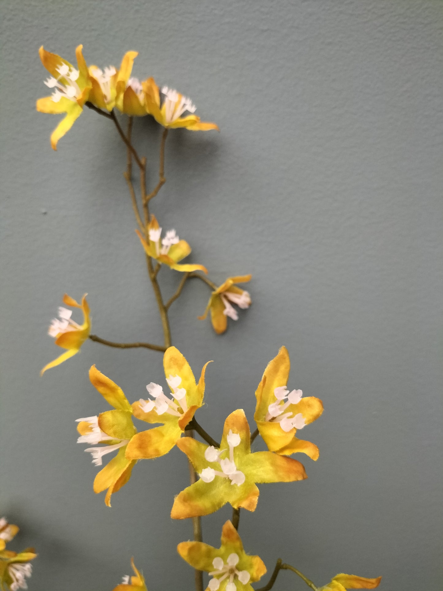 Euphorbia spray - ocre