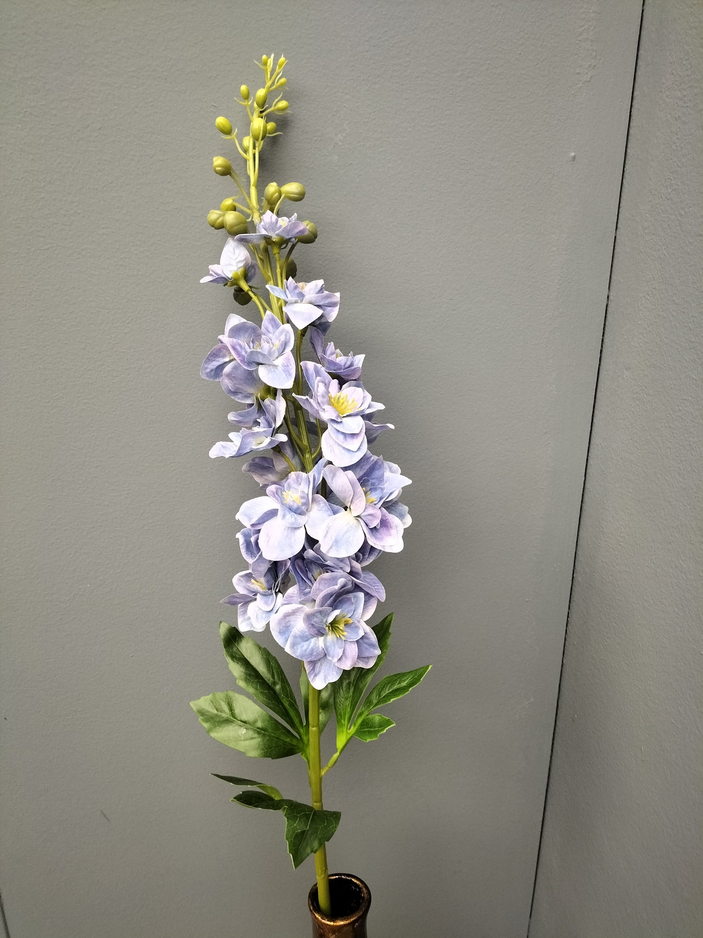 Delphinium - blauw / paars