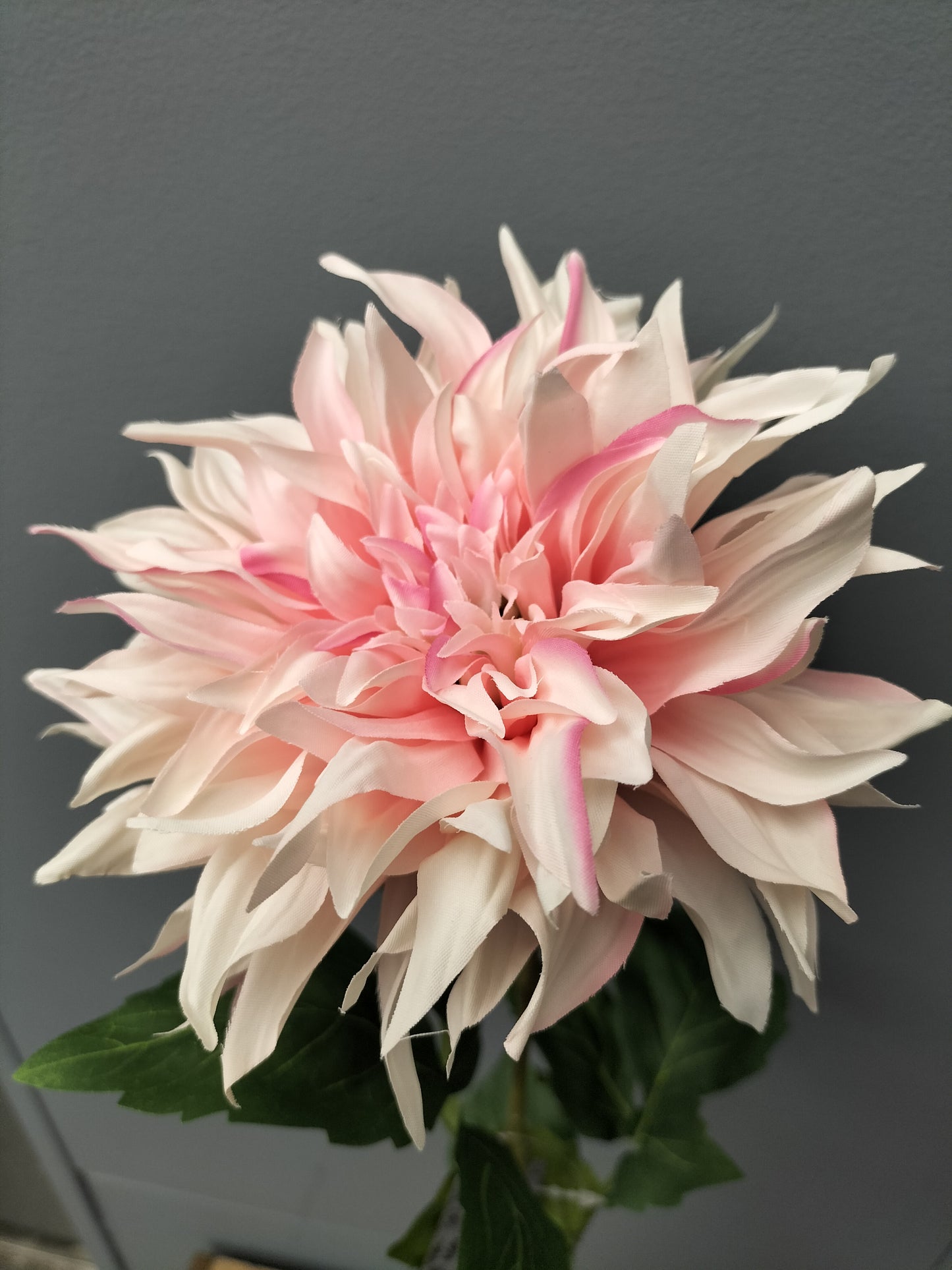 Dahlia - light roze, 63cm