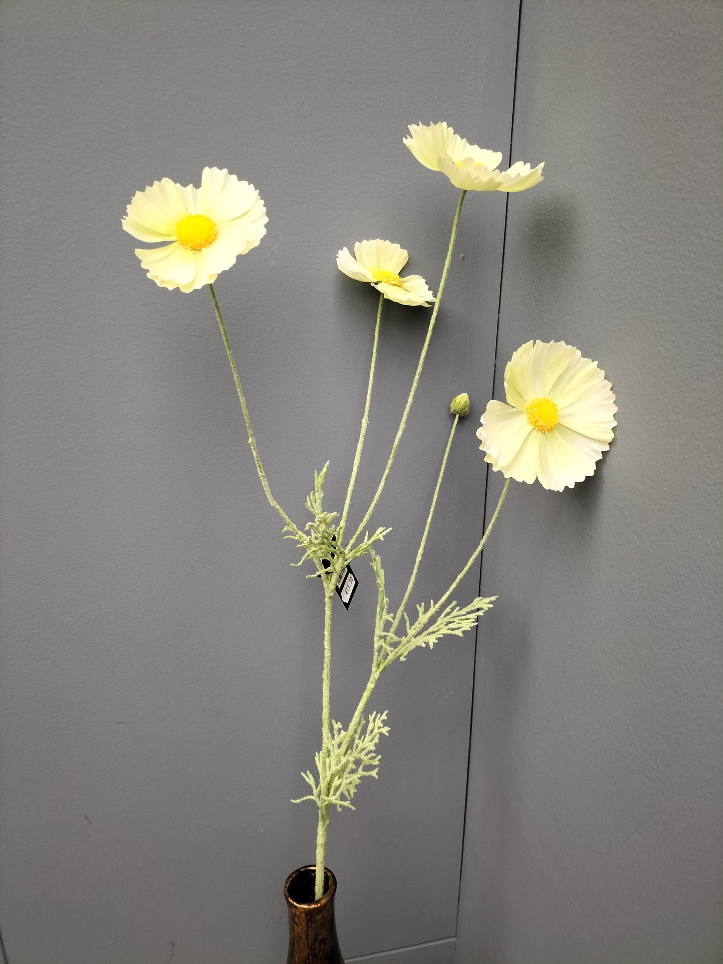 Cosmos - groen, 92cm