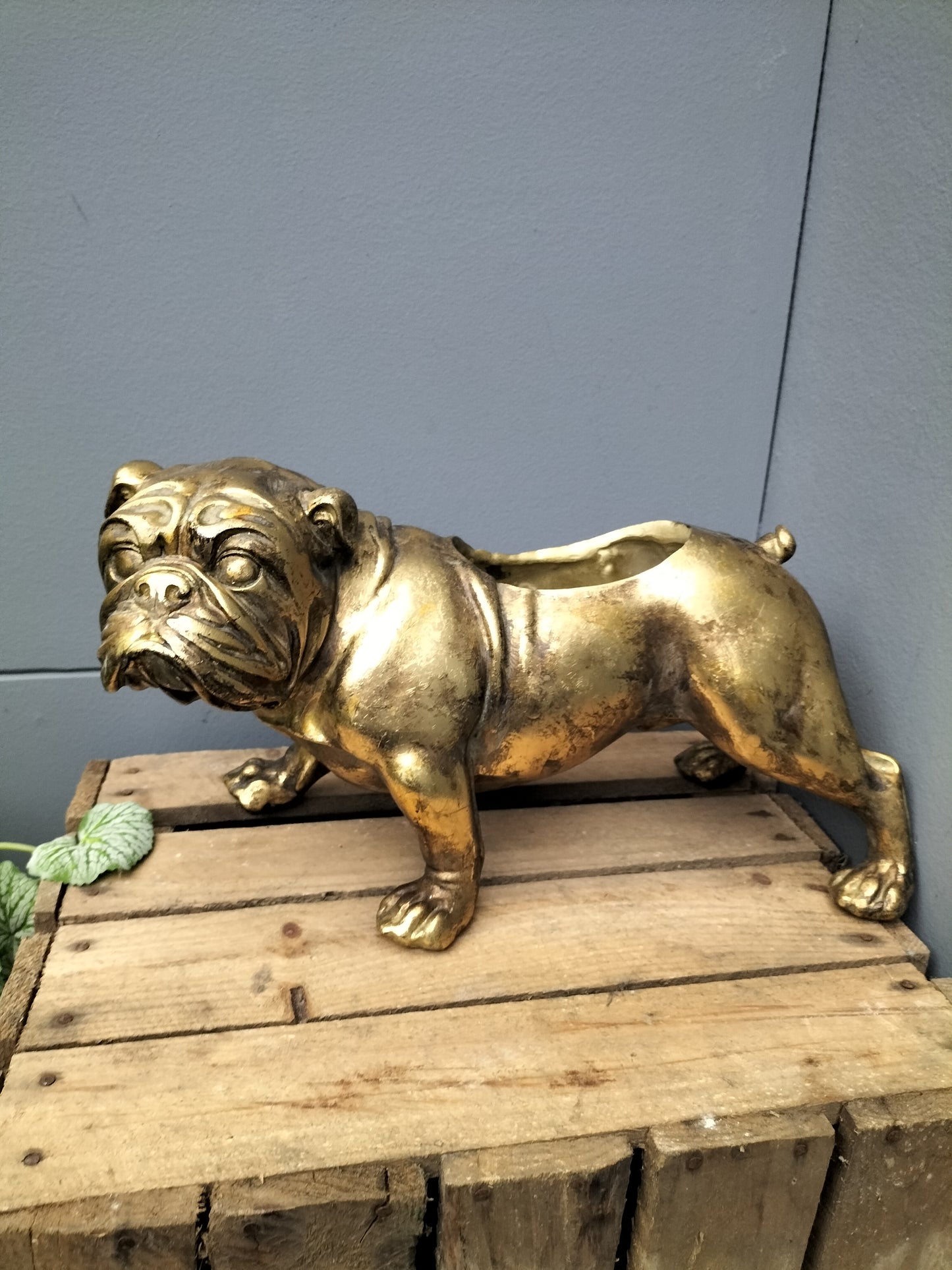 Polyresin bulldog planter - 34cm