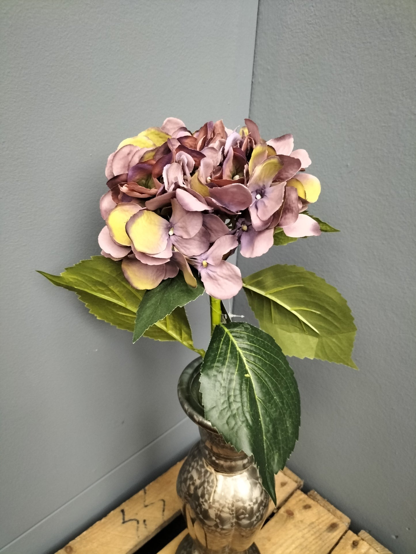 Hortensia - paars 48cm