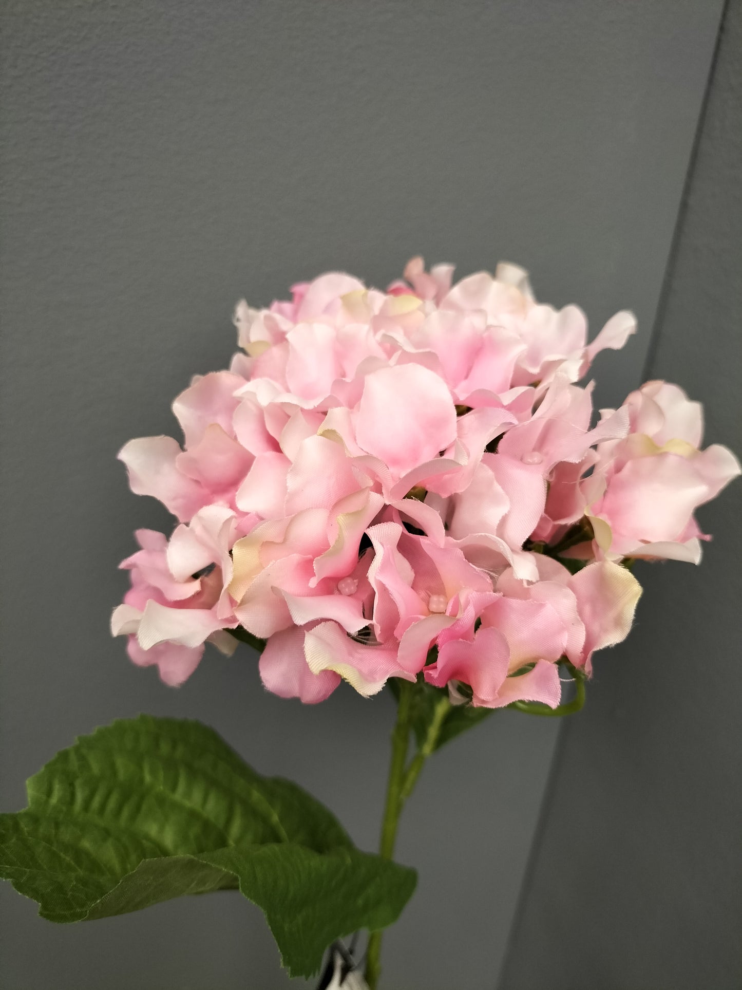 Hortensia - roze, 65cm