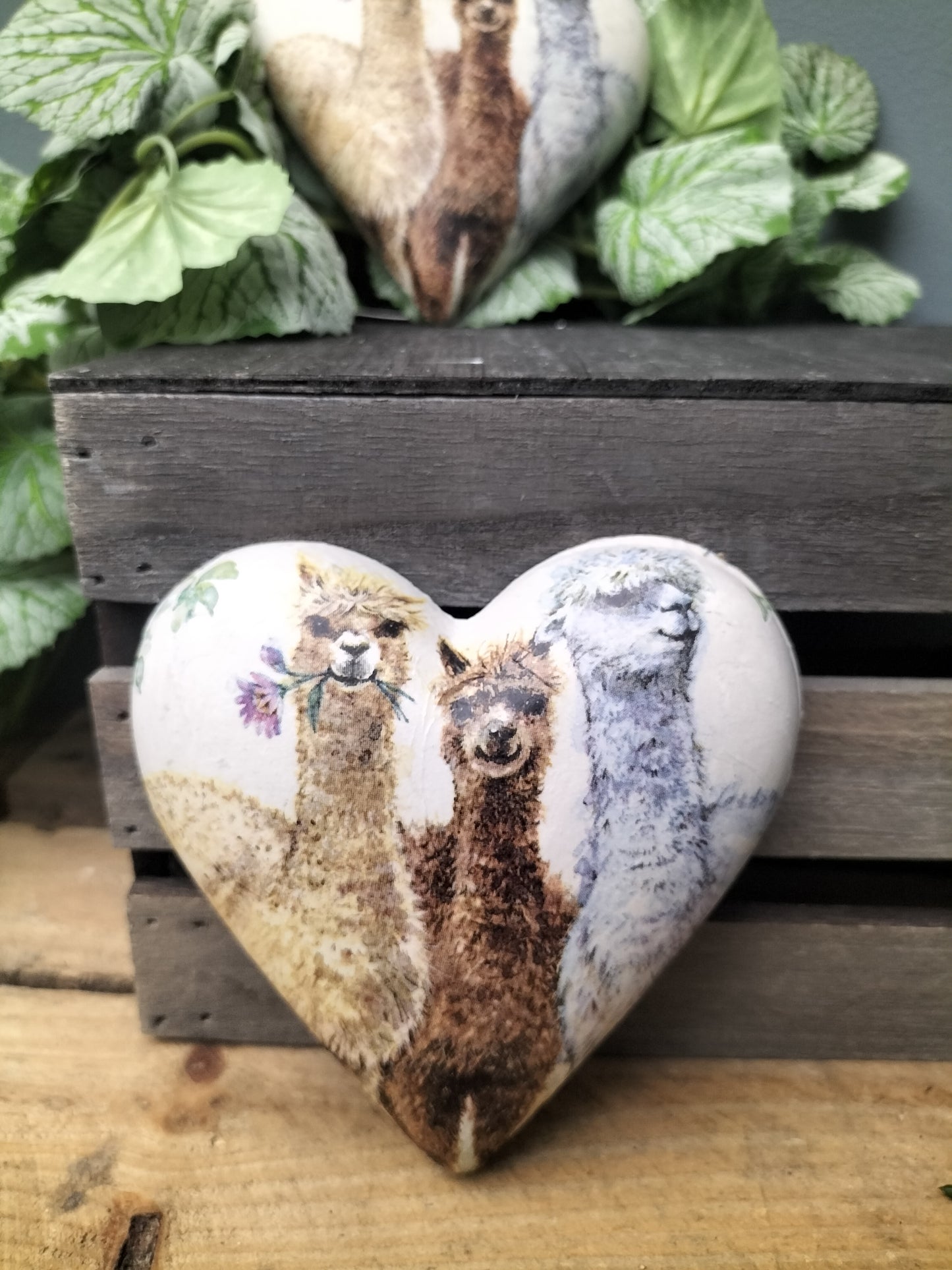 Decoupage hart - alpacas