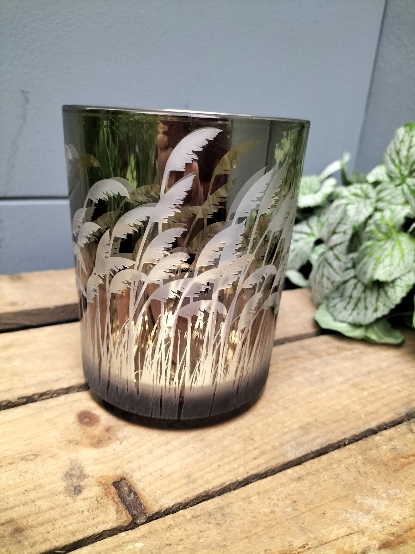 Waxinelicht houder - pampas gras, 8cm, 12.5cm