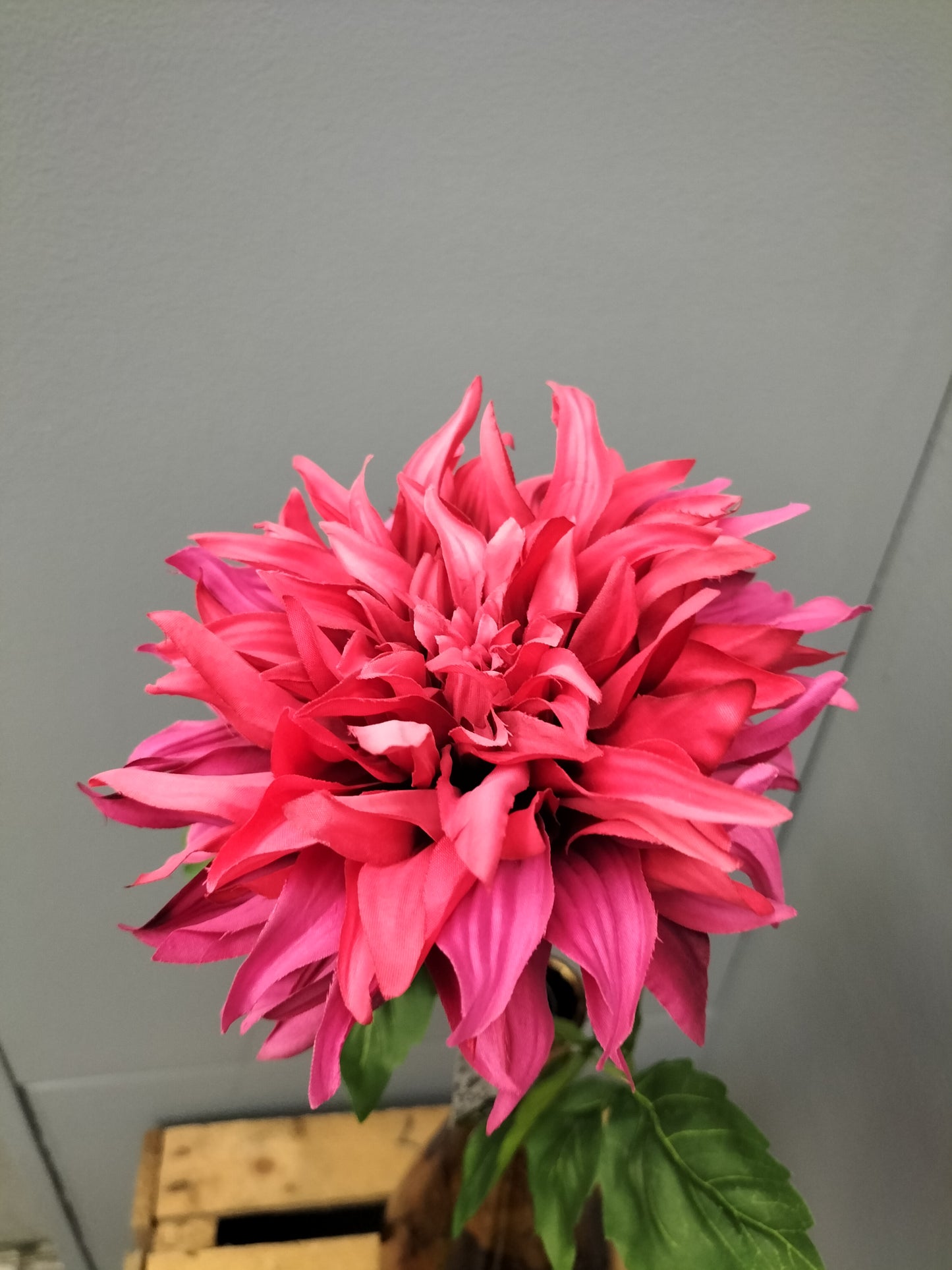 Dahlia - donker roze, 63cm