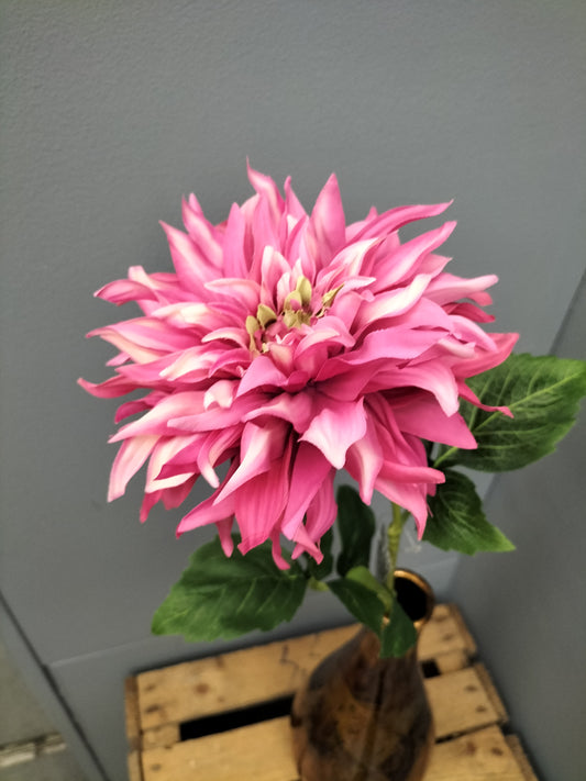 Dahlia - roze/wit, 63cm