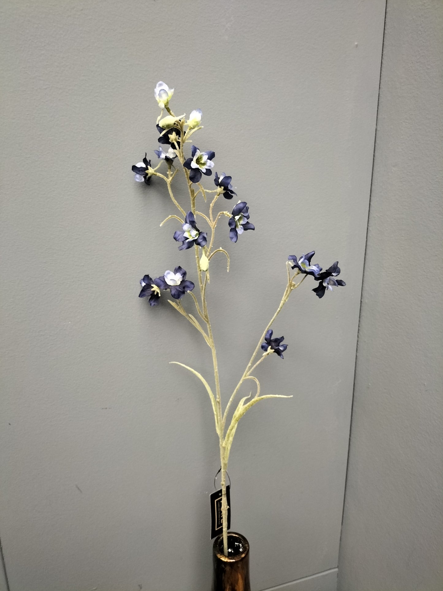 Delphinium - 75cm, blauw