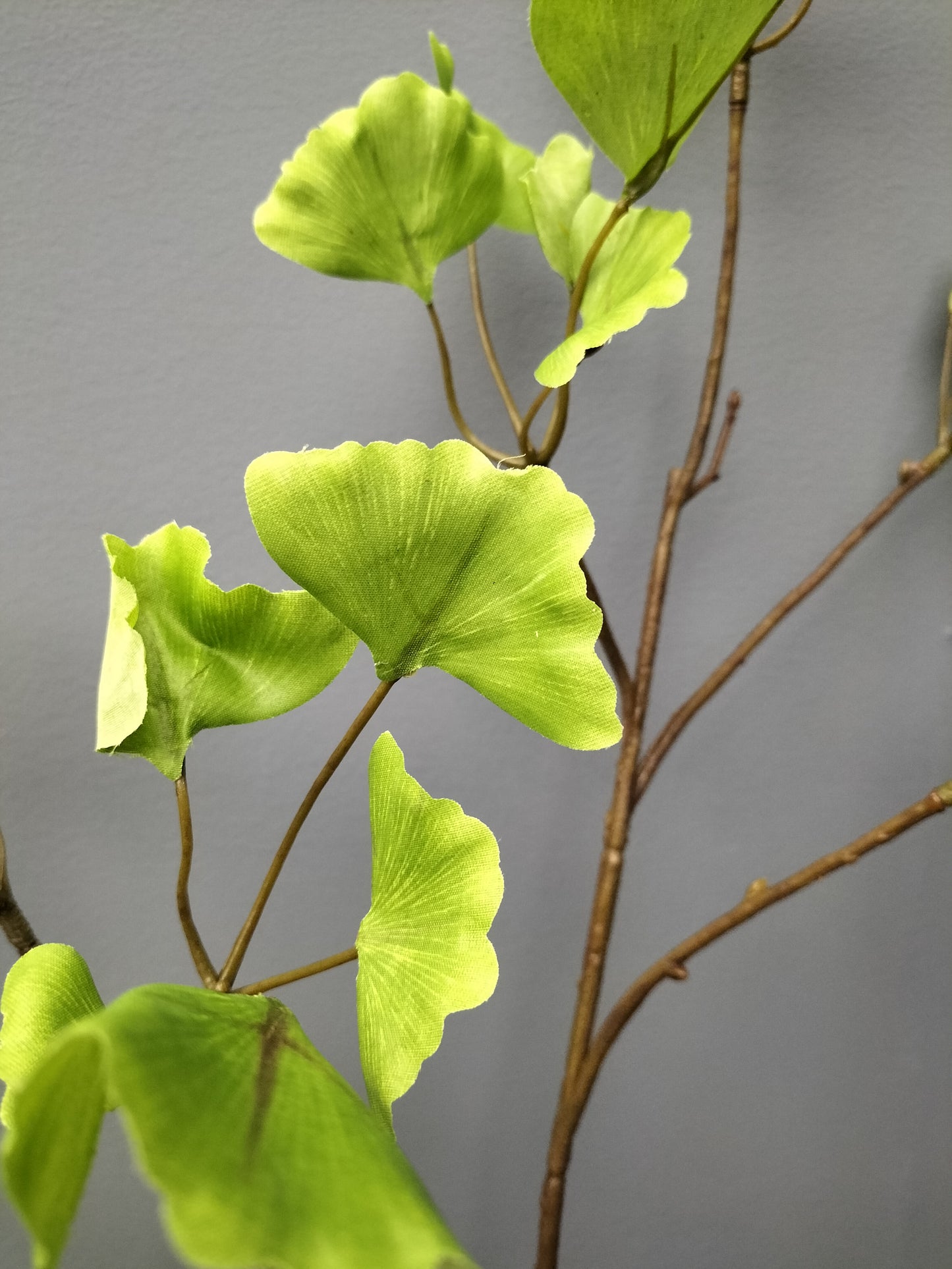 Ginko blad - 107cm, licht groen