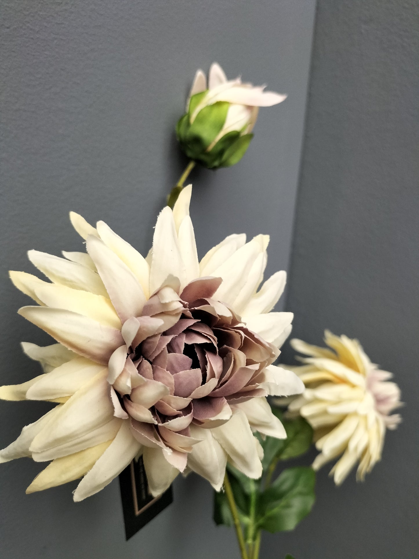 Dahlia - beige, 65cm