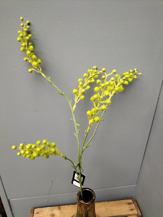 Mimosa spray - groen, 67cm