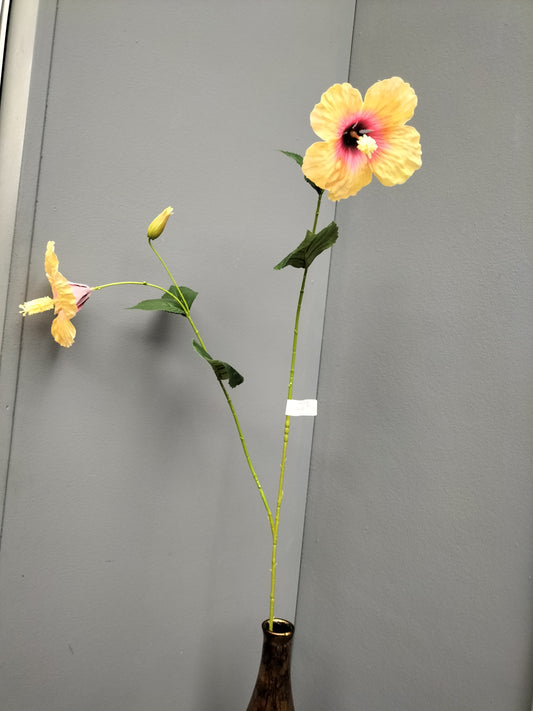 Hibiscus - zalm/rose, 110cm