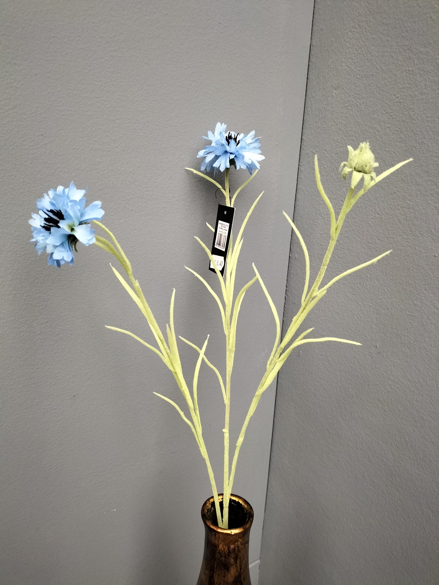 Korenbloem - light blauw, 66cm