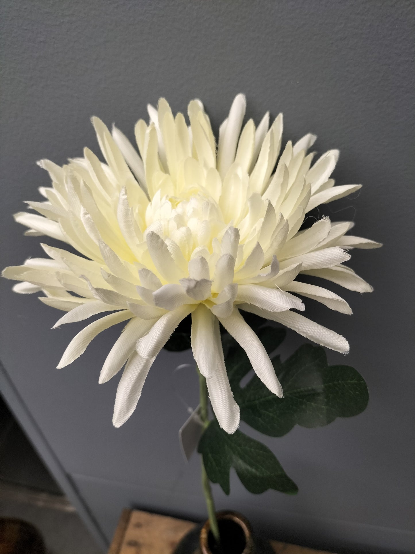 Spider mum - 65cm, creme