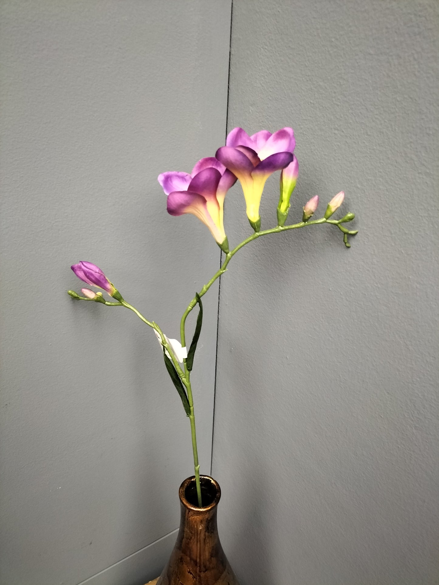 Freesia - paars, 68cm