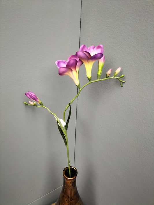 Freesia - paars, 68cm